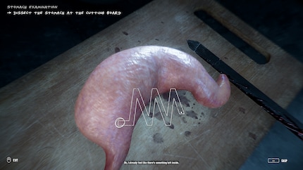 In order to carry out the various tasks of a forensic doctor, I constantly have to put up with some annoying gameplay mechanics. 