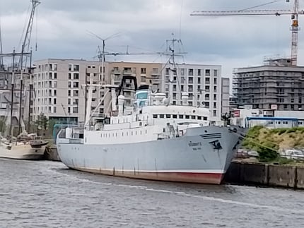 Digitale zoom is zelden nuttig. Hier het maximum met zes keer vergroting.