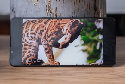 The Sony Xperia 1 VI no longer has the typical film format.