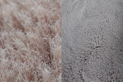 My carpet, actually quite fluffy, looks completely different when brought so close.