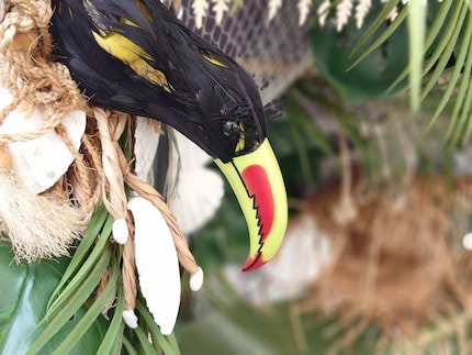 The toucan and rope are beautifully emphasised by the bokeh. However, the beak is blurred at the tip.