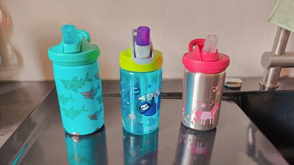 Zoe’s water bottles: partly faded and dented but all free of harmful substances.