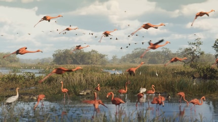 So many animals at once! The nature in GTA VI looks fantastic.