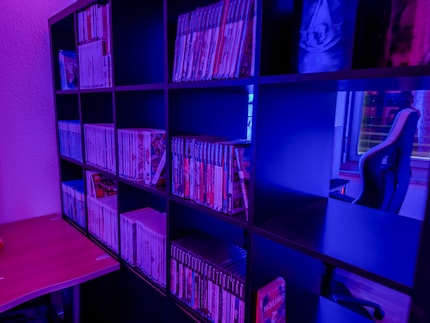 Die beachtliche Spielesammlung hat einen gebührenden Platz im Büro.