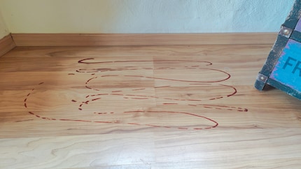 Als of onze dochter de vloer had geverfd met ketchup. Ik was het.