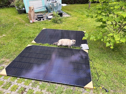 Auslegeordnung auf der Wiese vor dem Gartenhäuschen. Katze Mira gehört nicht dazu.