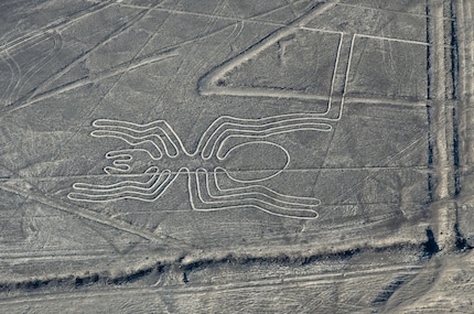 This already well-known and clearly visible spider is around 45 metres long.