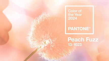 Pantone annually presents its colour of the year. In 2024 it’s Peach Fuzz.