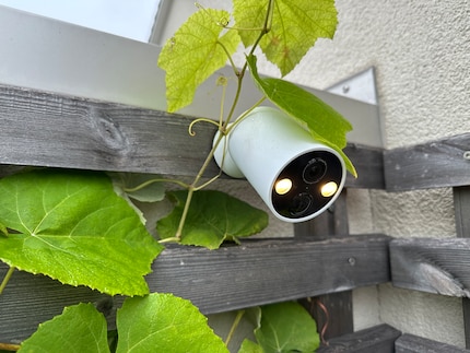 Die zweite Tapo-Kamera überwacht bei mir den Garten; die Tarnung unter den Blättern der Weinrebe ist noch ausbaufähig.