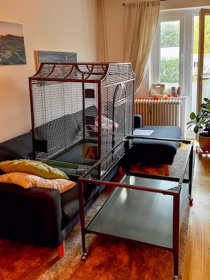 De kooi bestaat uit het vogelhuisje en een karretje op wieltjes met een plank voor voer, zand en andere gebruiksvoorwerpen.