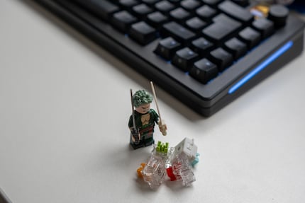 Zoro is ook niet overtuigd door de schakelaars.