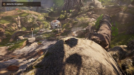 I love exploring this game world and getting lost in the details.