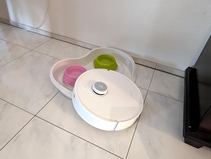 De Curv klimt ook op de kattenbakjes - maar komt niet vast te zitten.