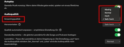 Als je een slechte netwerkdekking hebt, kun je Spotify de kwaliteit ad hoc laten verlagen.