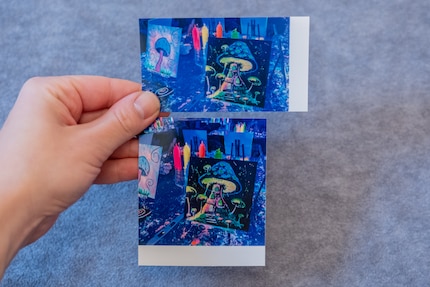 Het resultaat is vergelijkbaar met Polaroid. Kodak drukt alleen iets donkerder af.