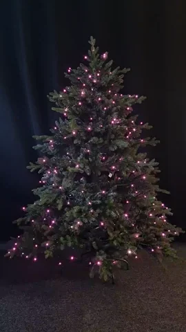 Je kunt je boom ook roze laten schitteren.