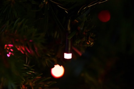 Dankzij hun eenvoudige uiterlijk kunnen de lampjes ook na de kerst blijven schijnen.