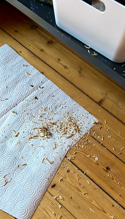 Veel uitwerpselen van de parkieten.