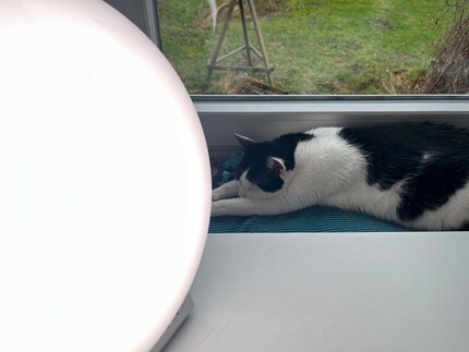 Like on a sunbed ...