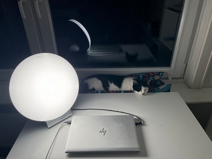 It's still dark outside at seven in the morning and the cat is still asleep, but the daylight makes starting work much more pleasant.