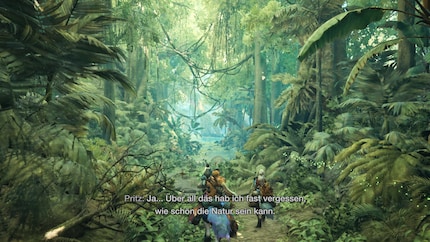  Grafisch maakt «Monster Hunter Wilds» vooral indruk met zijn prachtige gebieden en enorme monsters.