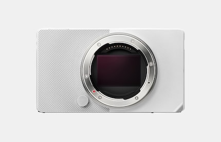 The full-frame sensor with 24 megapixels is likely to be susceptible to rolling shake.be prone to rolling shutter effects
