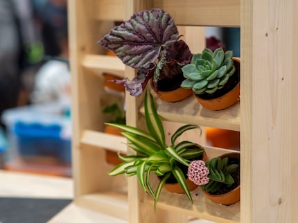 ... of praktische houten bloemenframes. 