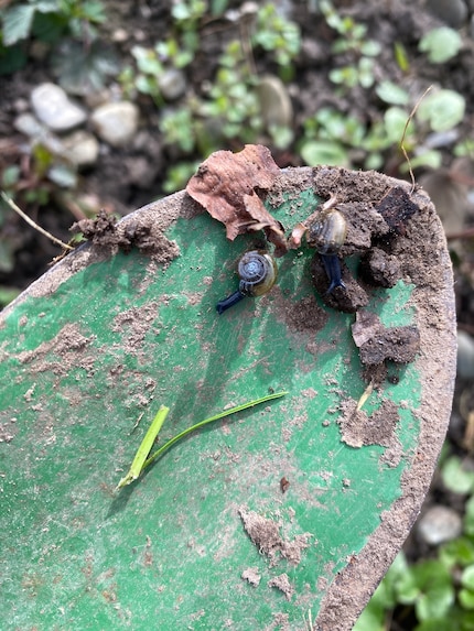 De kleine wonderen der natuur.