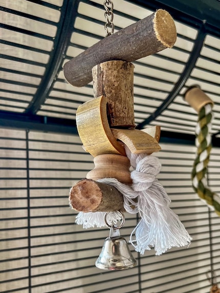 This bell toy hangs lonely and alone in the cage. I think I'll throw it away soon - or at least remove the bell.