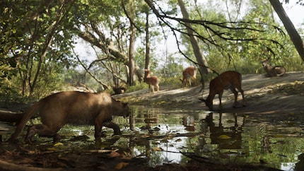 De wildernis doet denken aan «Red Dead Redemption».