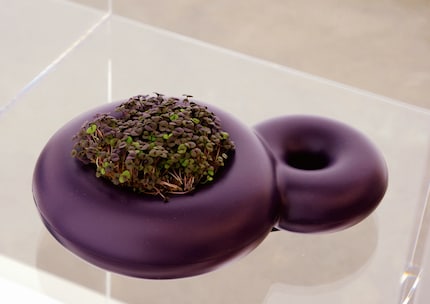 Der Bloom-Blumentopf von Sabine Marcelis x XL Extralight®.