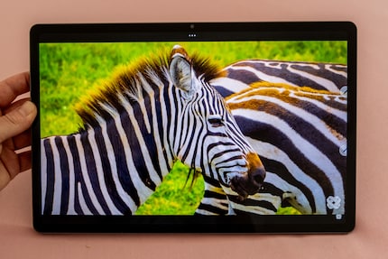 Videos look wonderful on the LCD screen and the sound is quite impressive.