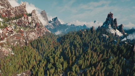 Das sieht mal wie ein richtiger Wald aus.