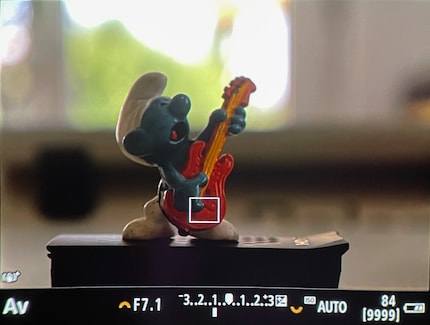 Info display on the Canon EOS R5.