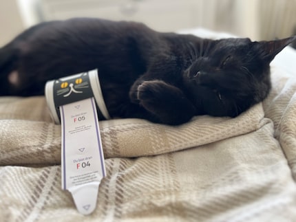 Vind ik nog iets nieuws over mijn kleine panter dankzij de merkwaardige feiten? 