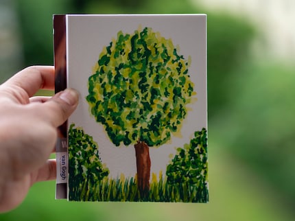 Ik weet precies waar deze boom stond. 