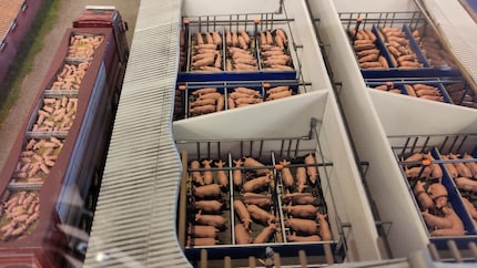 Massale veeteelt op een schaal van 1:87. Kritische scènes zijn ook afgebeeld in een speciale tentoonstelling.