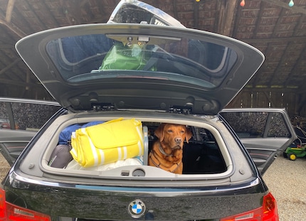 ... en weg zijn we met de kinderen en de hond.