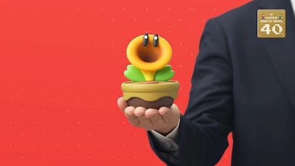 Waarover zal de bloem praten? 