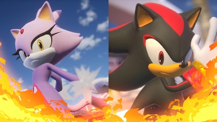 Blaze und Shadow sind nur eines von vielen möglichen Rivalen-Paaren.