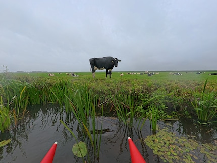  Ongeplande tussenstop met een geïnteresseerde toeschouwer.