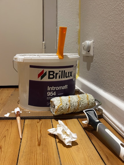 Brillux vs. Anna von Mangoldt: Wie gaat er winnen? 