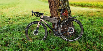The wolf among the gravel tyres from Zleen on the new race bike from Bixs.