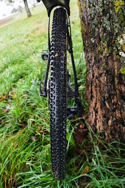The profile of the Wolf Pro Tubeless from Zleen.