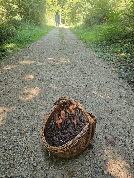 De komende uren zullen uitwijzen of onze zoektocht naar paddenstoelen succesvol is geweest.