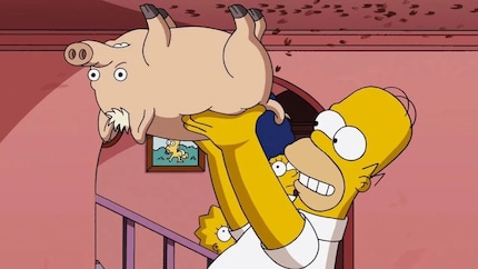 Homer hebt das Spiderschwein hoch: eine absurde Szene, die Simpsons-Geschichte schrieb.