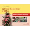 Optimal care for roses in pictures (Hans Heinrich Moeller, German)