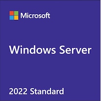 Microsoft Windows Server 2022 Standard (1 x, Unbegrenzt)