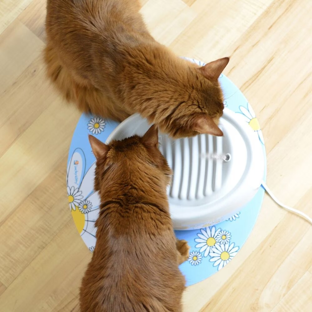 Keramische Kattenfontein - Stil, USB, 5-voudige Filter