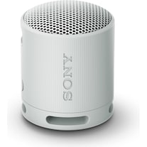 Sony SRS-XB100 (16 h, Rechargeable battery operated)
